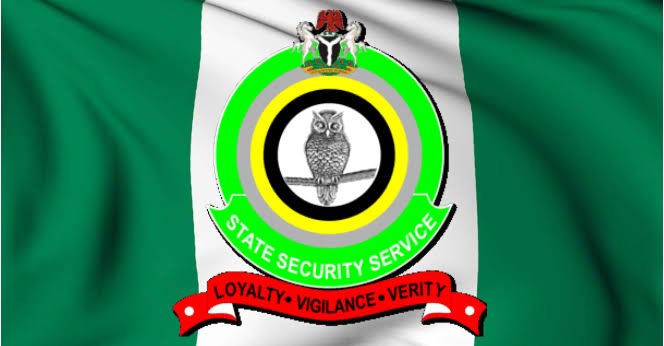 Palliative Diversion: DSS apprehends suspects in Nassarawa, investigates other states