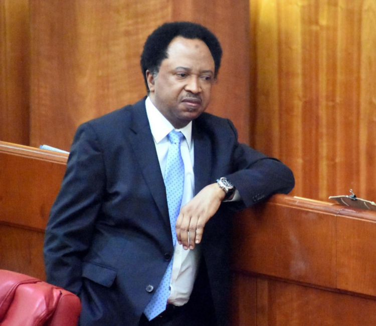 shehu-sani-750x651