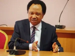 06832e64-shehu-sani