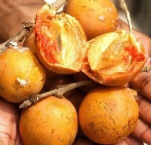 agbalumo-Cherry-fruit