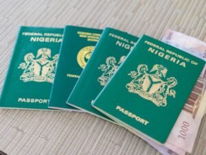 Nigerian Passport with Nigerian Naira For Travel and Vacation