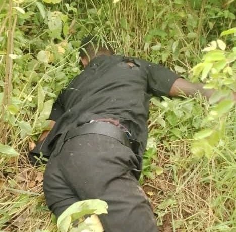 1757527505600.IMG-20250910-WA0017