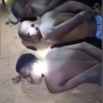 FB_IMG_1767714713721